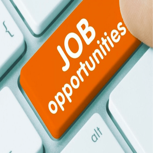 Offerta di lavoro